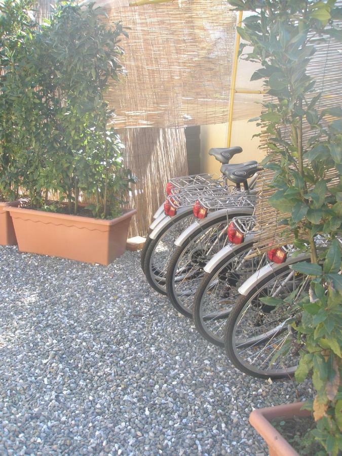 B&B La Rondine Tra Pisa E Lucca San Giuliano Terme Luaran gambar
