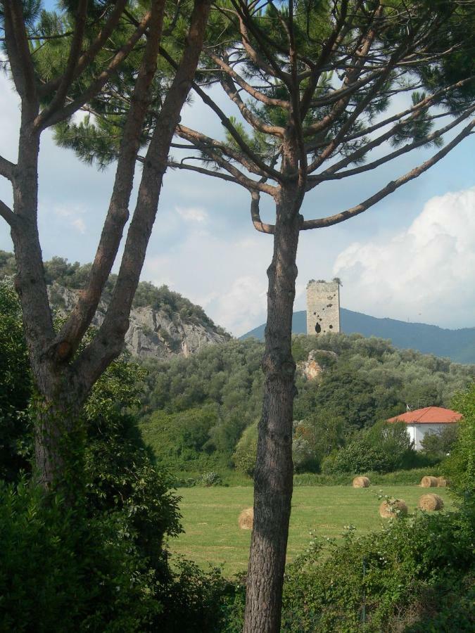 B&B La Rondine Tra Pisa E Lucca San Giuliano Terme Luaran gambar