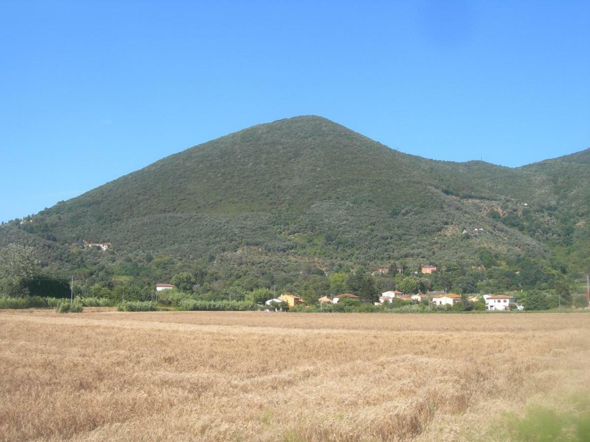 B&B La Rondine Tra Pisa E Lucca San Giuliano Terme Luaran gambar